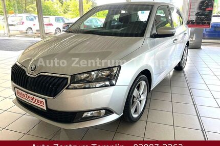Skoda Fabia Gebrauchtwagen