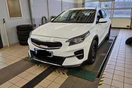 Kia XCeed Gebrauchtwagen