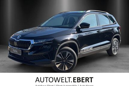 Skoda Karoq Gebrauchtwagen