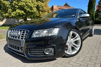 Audi S5 Gebrauchtwagen