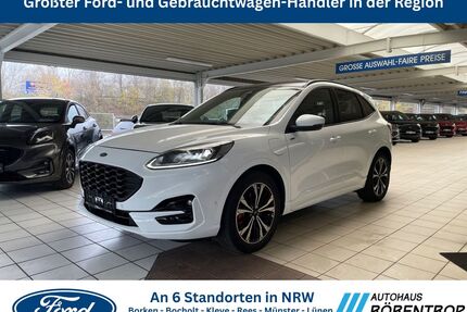 Ford Kuga Gebrauchtwagen