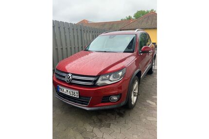 VW Tiguan Gebrauchtwagen