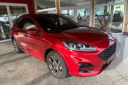 Ford Kuga Gebrauchtwagen