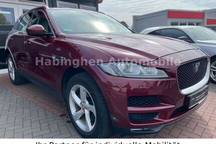 Jaguar F-Pace Gebrauchtwagen