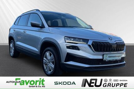Skoda Karoq Gebrauchtwagen