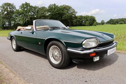 Jaguar XJS Gebrauchtwagen