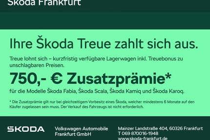 Skoda Kamiq Gebrauchtwagen