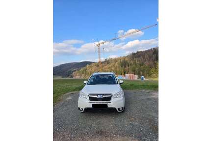 Subaru Forester Gebrauchtwagen