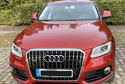 Audi Q5 Gebrauchtwagen