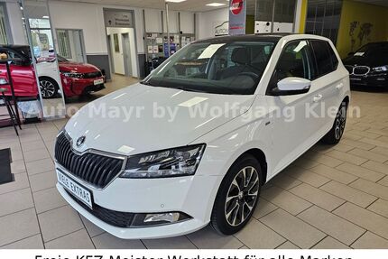 Skoda Fabia Gebrauchtwagen