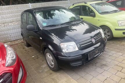 Fiat Panda Gebrauchtwagen