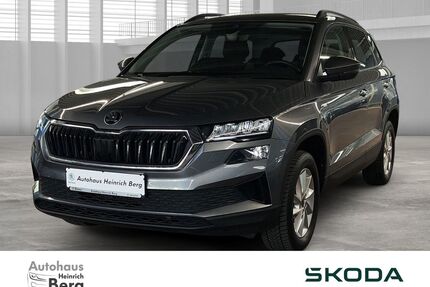 Skoda Karoq Gebrauchtwagen