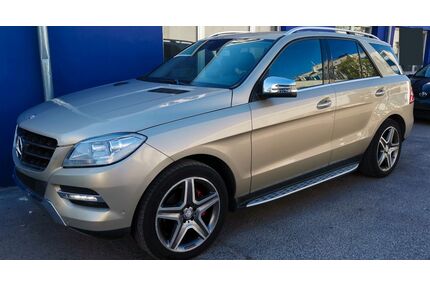 Mercedes-Benz ML 250 Gebrauchtwagen