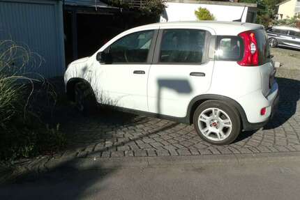 Fiat Panda Gebrauchtwagen