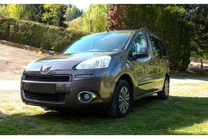 Peugeot Partner Tepee Gebrauchtwagen