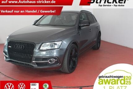 Audi SQ5 Gebrauchtwagen