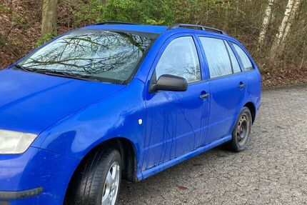 Skoda Fabia Gebrauchtwagen