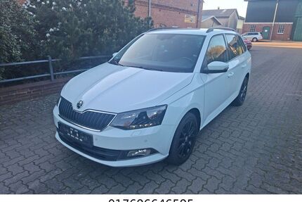 Skoda Fabia Gebrauchtwagen