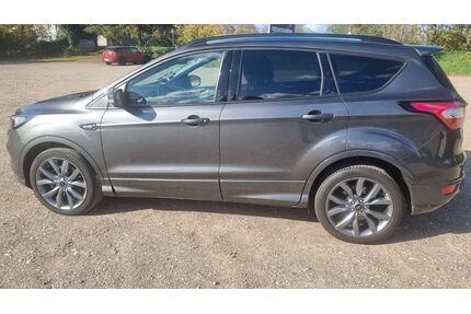 Ford Kuga Gebrauchtwagen