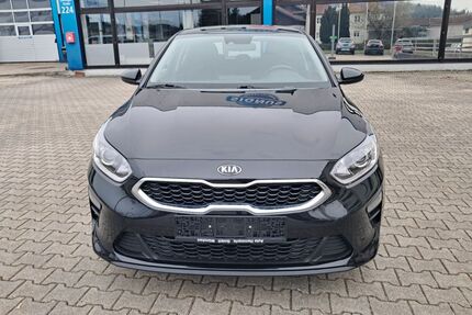 Kia ceed / Ceed Gebrauchtwagen
