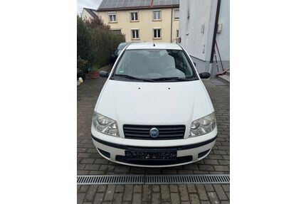 Fiat Punto Gebrauchtwagen