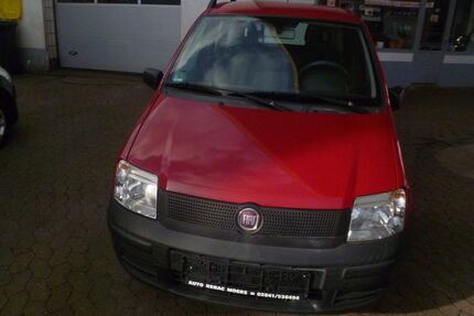 Fiat Panda Gebrauchtwagen
