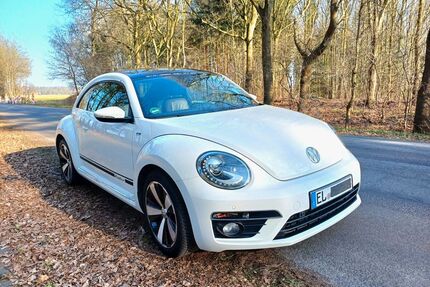 VW Beetle Gebrauchtwagen