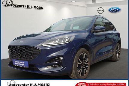 Ford Kuga Gebrauchtwagen