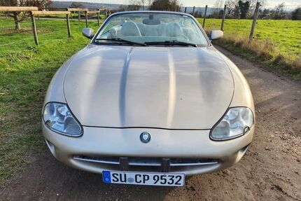Jaguar XK8 Gebrauchtwagen