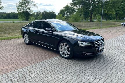 Audi A8 Gebrauchtwagen