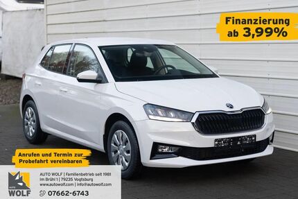 Skoda Fabia Gebrauchtwagen