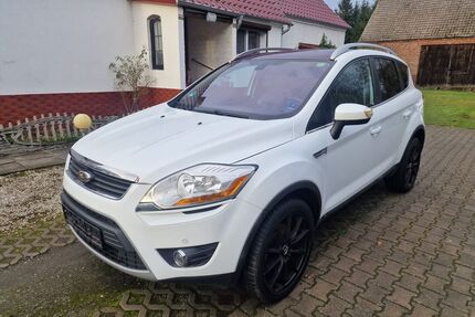 Ford Kuga Gebrauchtwagen