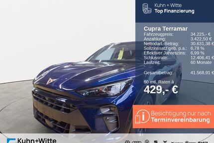 Cupra Terramar Gebrauchtwagen