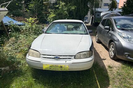Chevrolet Lumina Gebrauchtwagen