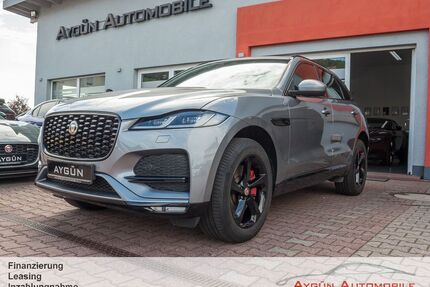 Jaguar F-Pace Gebrauchtwagen