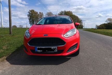 Ford Fiesta Gebrauchtwagen