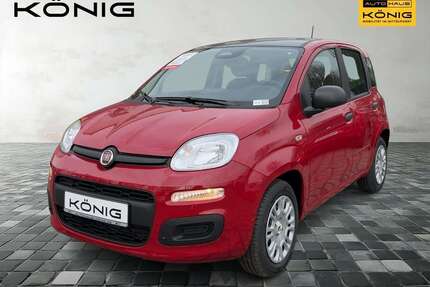 Fiat Panda Gebrauchtwagen