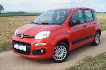 Fiat Panda Gebrauchtwagen