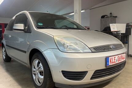 Ford Fiesta Gebrauchtwagen