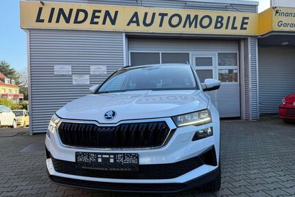 Skoda Karoq Gebrauchtwagen