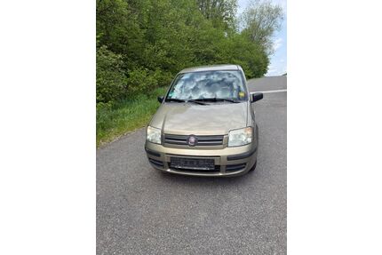 Fiat Panda Gebrauchtwagen