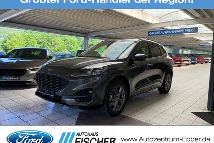 Ford Kuga Gebrauchtwagen