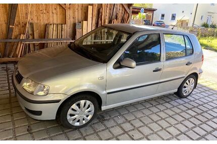 VW Polo Gebrauchtwagen