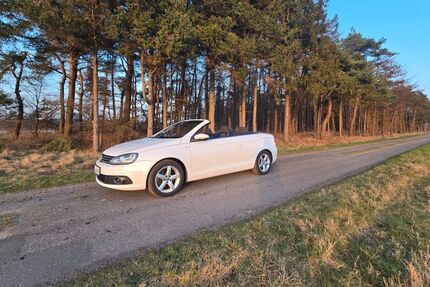 VW Eos Gebrauchtwagen