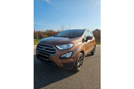 Ford EcoSport Gebrauchtwagen