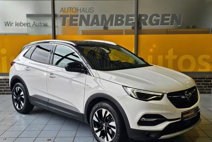 Opel Grandland (X) Gebrauchtwagen