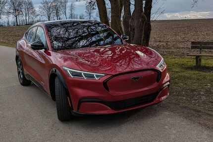 Ford Mustang Mach-E Gebrauchtwagen