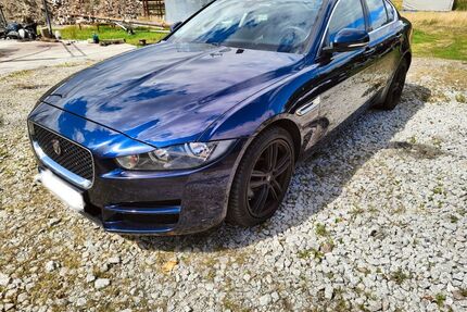 Jaguar XE Gebrauchtwagen