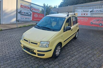 Fiat New Panda Gebrauchtwagen