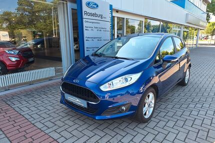 Ford Fiesta Gebrauchtwagen